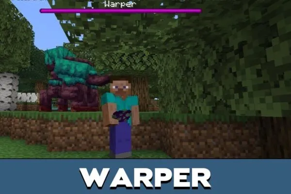 Warper from Nether Mod for Minecraft PE