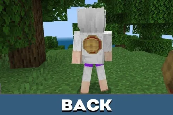 Back from Luffy Gear Mod for Minecraft PE