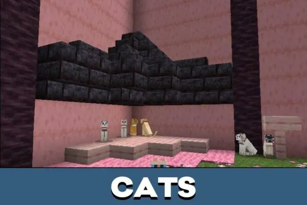 Cats from Photo Zone Map for Minecraft PE