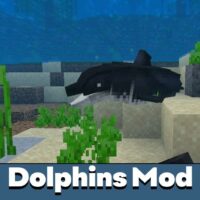 Dolphins Mod for Minecraft PE