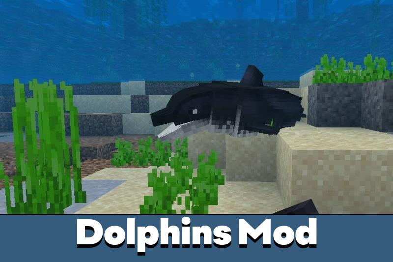 Download Dolphins Mod for Minecraft PE Dolphins Mod for MCPE