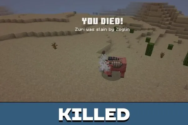 Killed from Death Race Mod for Minecraft PE