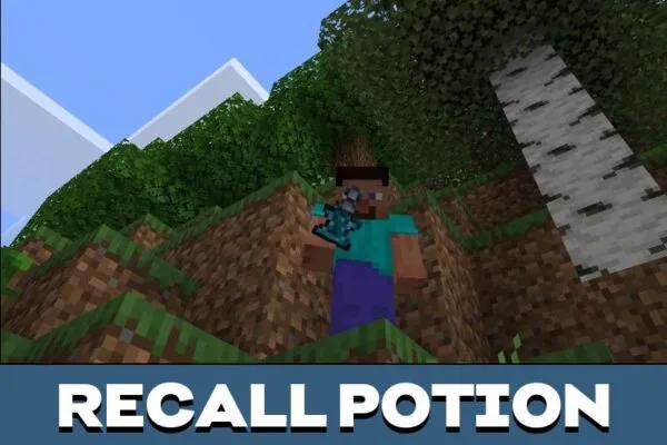 Potion from Magic Mirror Mod for Minecraft PE