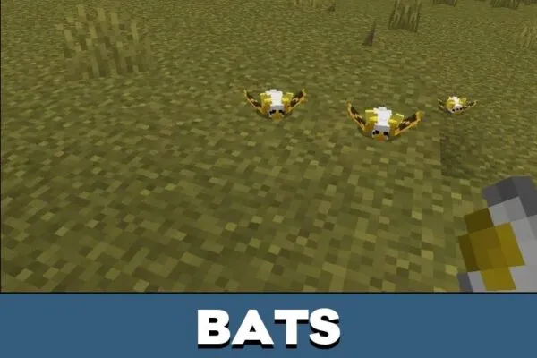 Bats from Mini Animals Mod for Minecraft PE