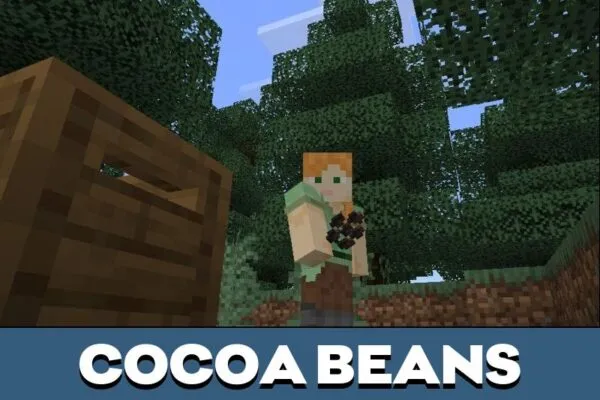 Beans from Chocolate Mod for Minecraft PE