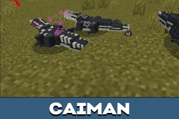 Caiman from Mini Animals Mod for Minecraft PE