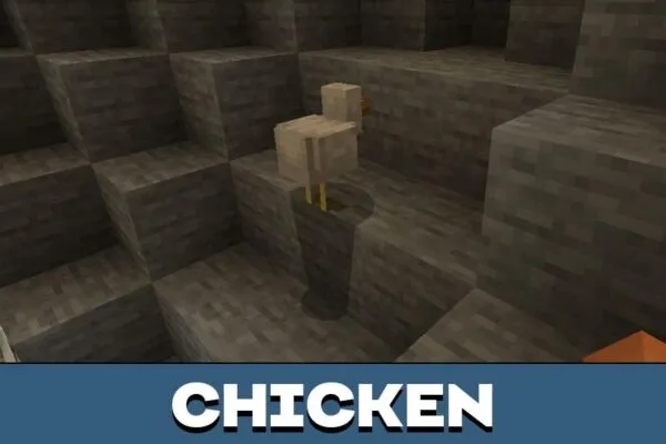 Chicken from Magic Block Map for Minecraft PE