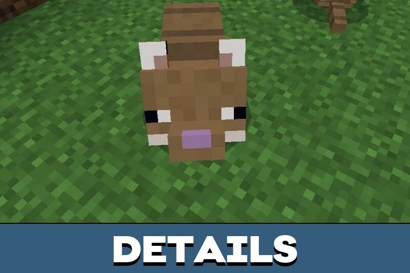 Download Armadillo (Mob Vote) Mod for Minecraft PE - Armadillo Mod for MCPE