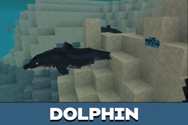 Dolphin from Ocean Creatures Mod for Minecraft PE