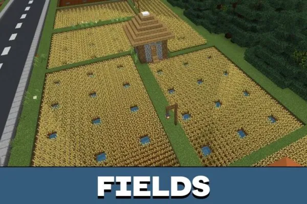 Fields from Bangladesh Map for Minecraft PE