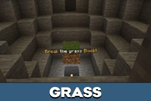 Grass from Magic Block Map for Minecraft PE