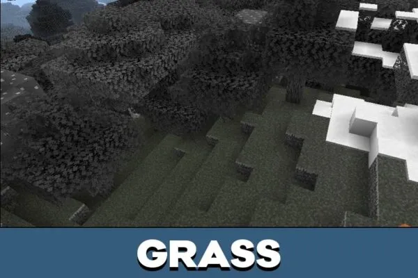 Grass from Monochrome Texture Pack for Minecraft PE