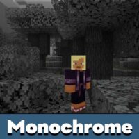 Monochrome Texture Pack for Minecraft PE