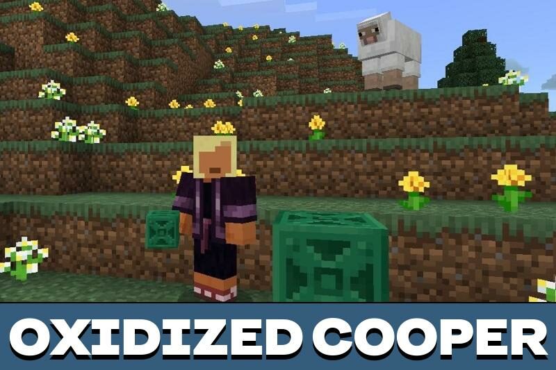 Download Minecraft PE 1.20.60.22 for Android