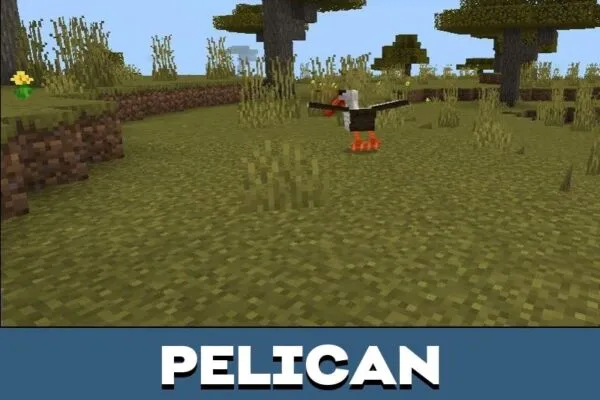 Pelican from Mini Animals Mod for Minecraft PE