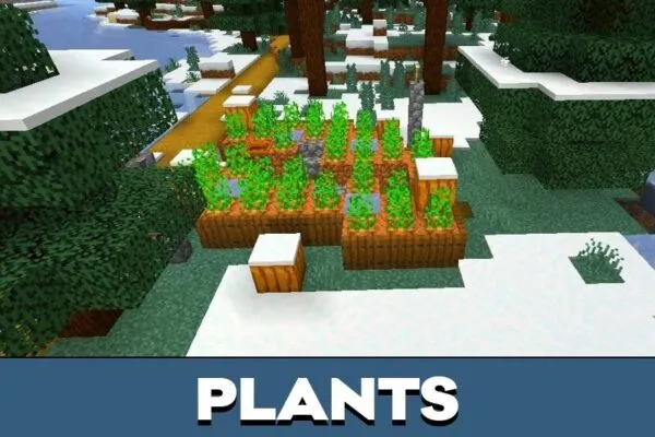 Plants from Graphic Shader for Minecraft PE