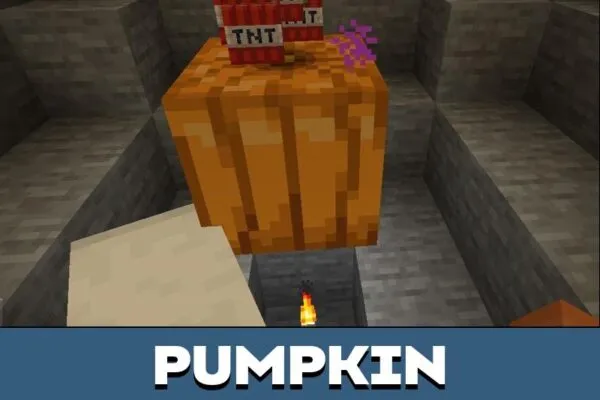 Pumpkin from Magic Block Map for Minecraft PE