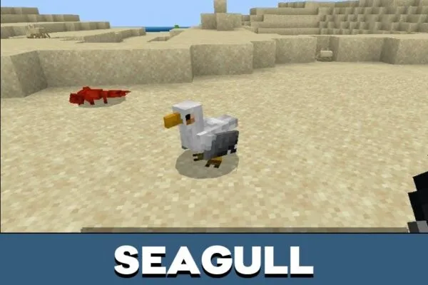 Seagull from Pelican Mod for Minecraft PE