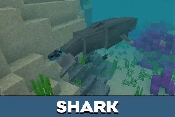 Shark from Ocean Creatures Mod for Minecraft PE