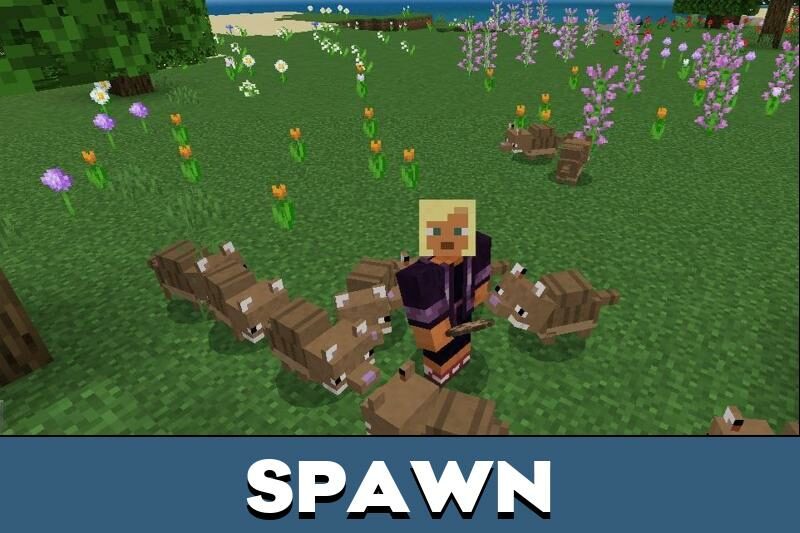 Download Armadillo (Mob Vote) Mod for Minecraft PE - Armadillo Mod for MCPE