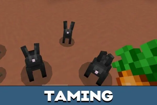 Taming from Rabbit Mod for Minecraft PE