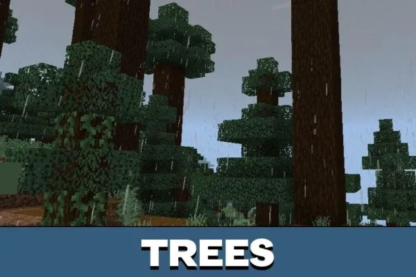 Trees from Rain Texture Pack for Minecraft PE