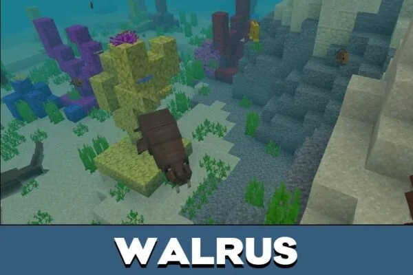 Walrus from Ocean Creatures Mod for Minecraft PE