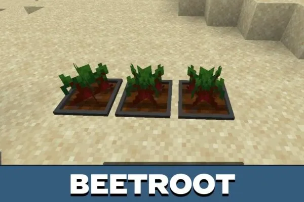 Beetroot Plant from Bonsai Mod for Minecraft PE