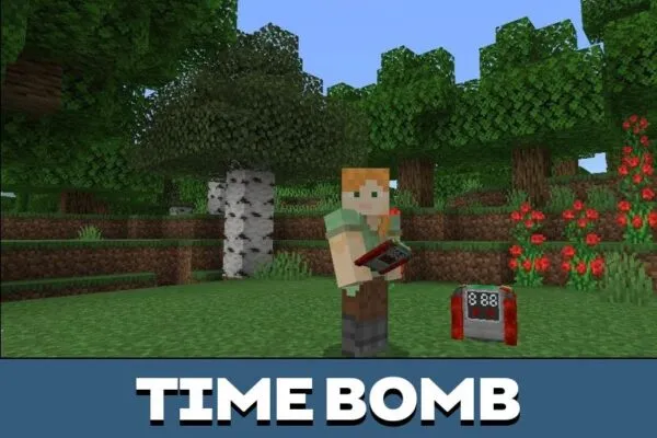 Bomb from Minigun Mod for Minecraft PE