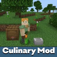 Culinary Mod for Minecraft PE