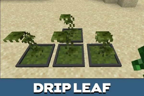 Drip Leaf Plant from Bonsai Mod for Minecraft PE