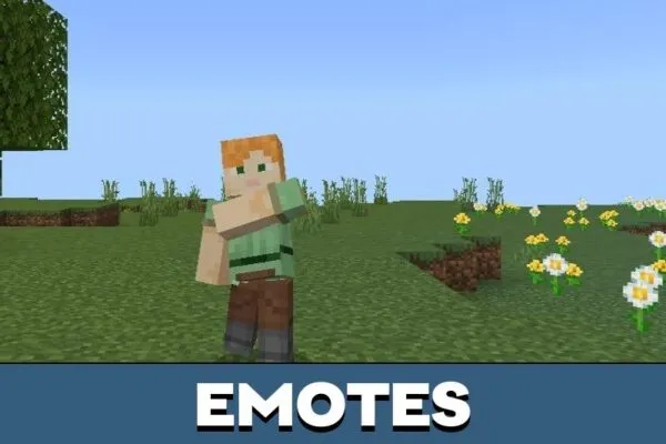 Emotes from One Piece Texture Pack for Minecraft PE