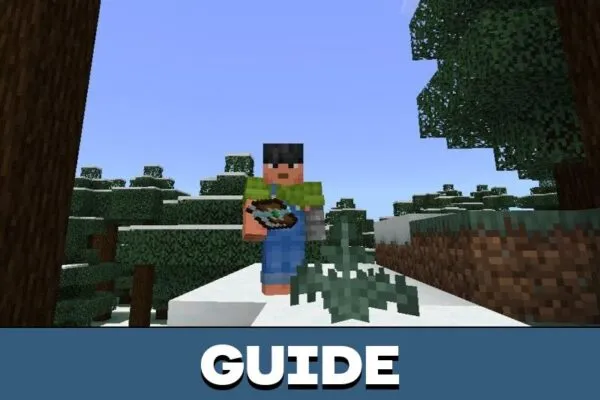 Guide from Project Onyx Mod for Minecraft PE