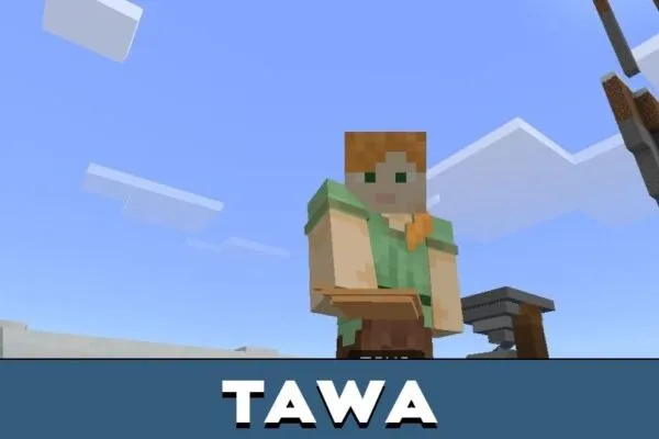 Tawa from Indian Food Mod for Minecraft PE