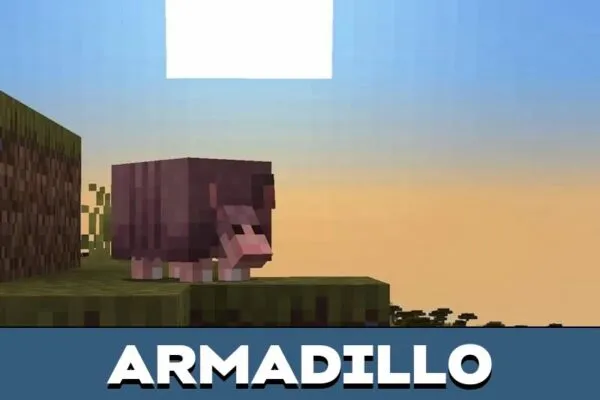 Armadillo from Minecraft PE 1.20-1-21