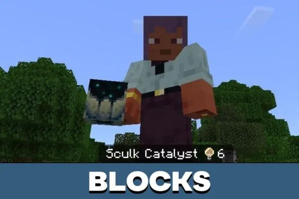 Blocks from Item Info Texture Pack for Minecraft PE