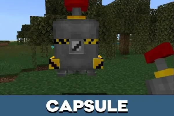 Capsule from Sonic Mod for Minecraft PE