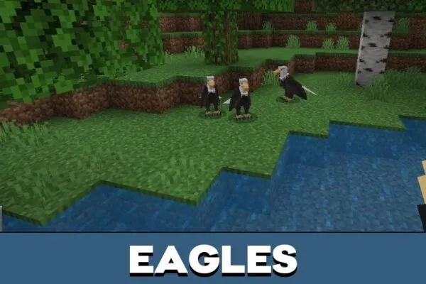 Eagles from World Animals Mod for Minecraft PE