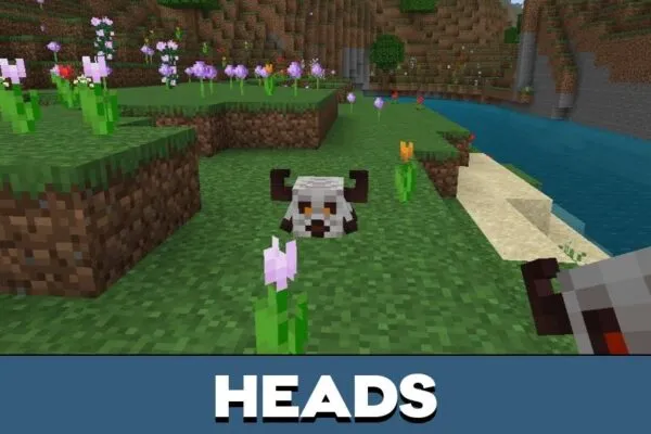 Heads from Creeper Mod for Minecraft PE