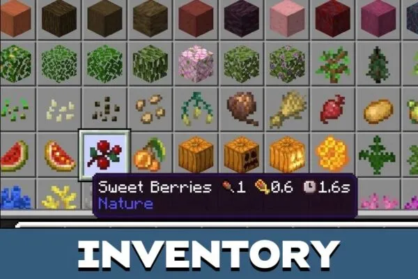 Inventory from Item Info Texture Pack for Minecraft PE