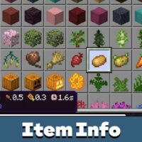 Item Info Texture Pack for Minecraft PE