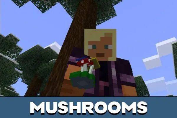 Mushrooms from Forest Mod for Minecraft PE