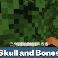 Skull and Bones Texture Pack for Minecraft PE