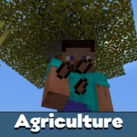 Agriculture Mod for Minecraft PE