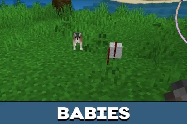 Babies from Dog Texture Pack for Minecraft PE