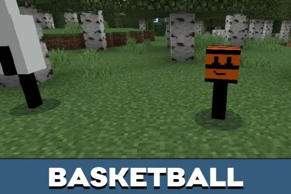 Basketball from BFDI Mod for Minecraft PE