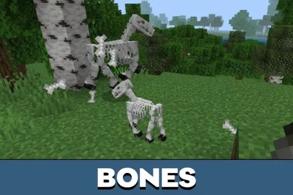 Bones from Effect Texture Pack for Minecraft PE