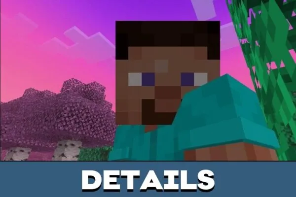 Details from Trail Graphics Texture Pack for Minecraft PE