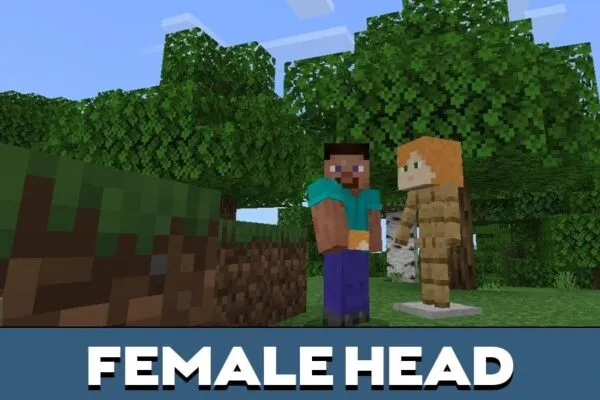 Female Head from Human Texture Pack for Minecraft PE