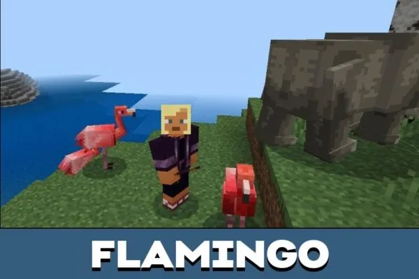 Flamingo from Safari Animals for Minecraft PE